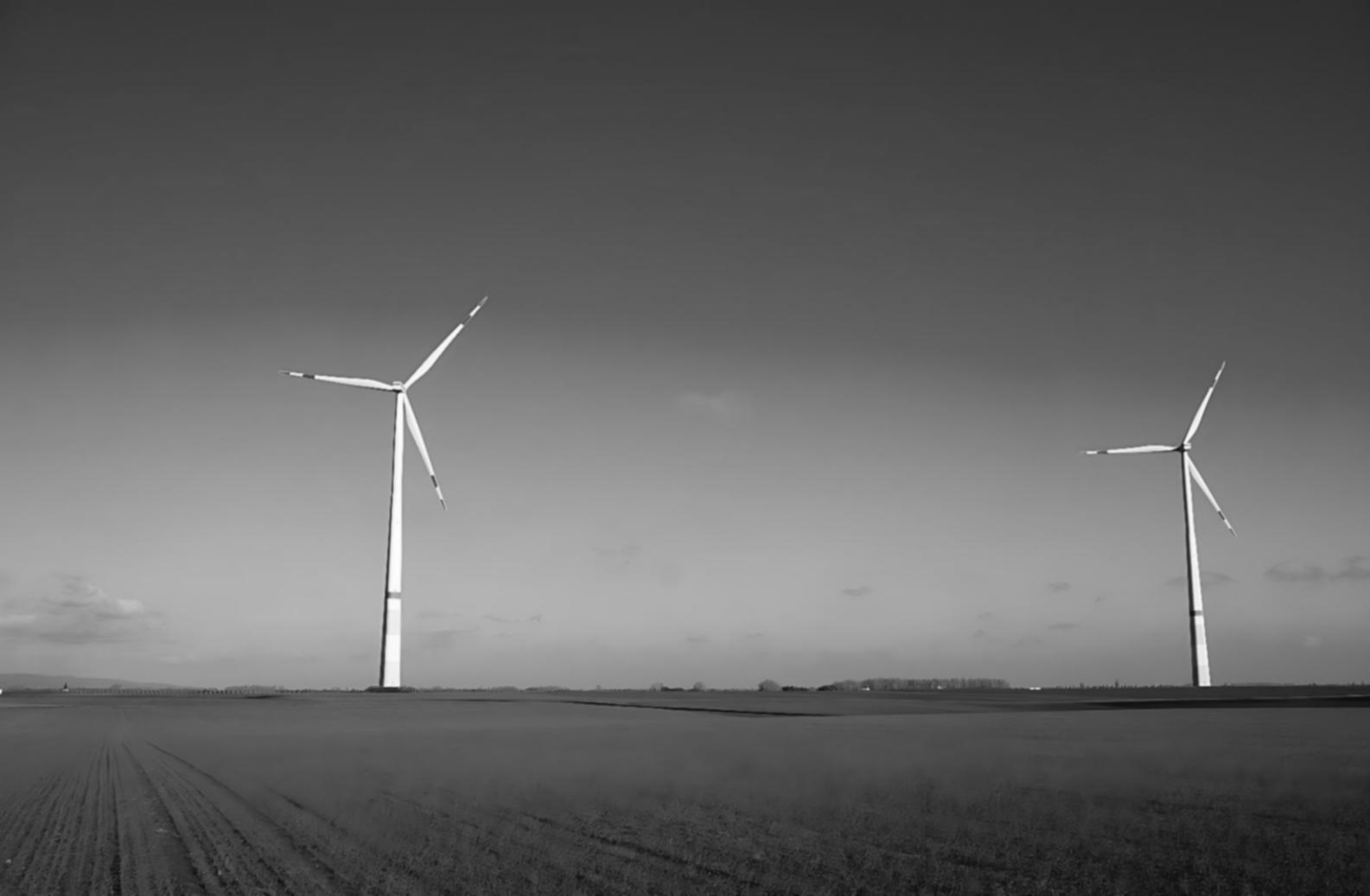 Interaktive Online-Lernsitzungen und Gruppendiskussionen